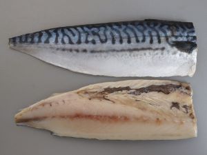 クリックで拡大表示
