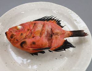 クリックで拡大表示 クルマダイの塩焼き
