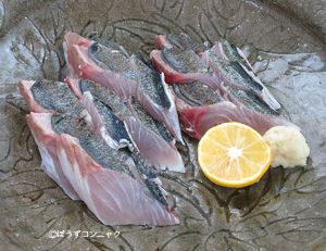 クリックで拡大表示 ニジョウサバの刺身