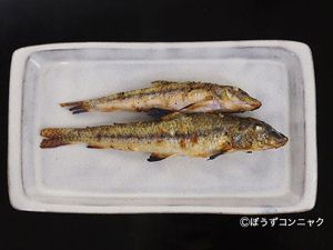 クリックで拡大表示 カマツカの塩焼き
