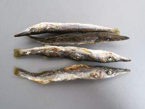 クリックで拡大表示 カマスの煮干し