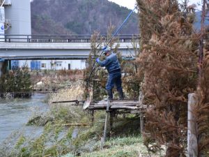 クリックで拡大表示 村上市大川のコド漁