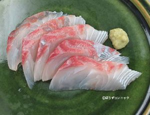 クリックで拡大表示 コバンアジの刺身