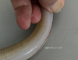 クリックで拡大表示