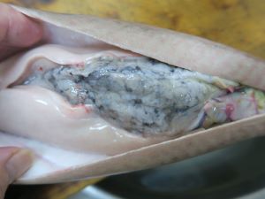 クリックで拡大表示