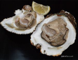 クリックで拡大表示 イタボガキの生食