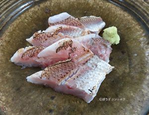 クリックで拡大表示 ナガオオメハタの刺身