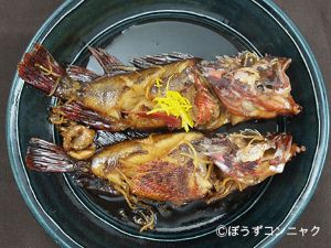 クリックで拡大表示 オニカサゴの煮つけ