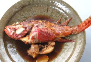 クリックで拡大表示 イズカサゴの刺身