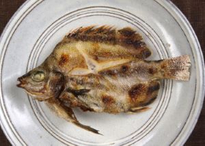 クリックで拡大表示 カゴカキダイの刺身