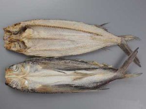 クリックで拡大表示 七島とび魚