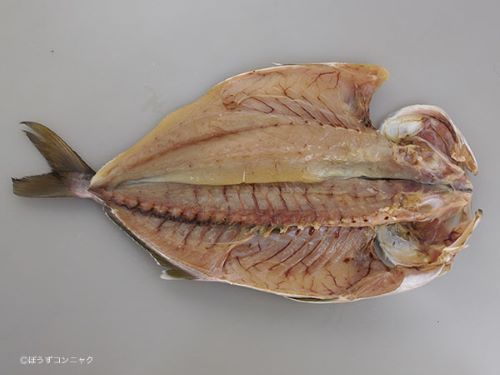 クリックで拡大表示 カンパチの開き干し