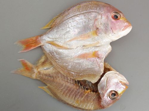 クリックで拡大表示 キダイの開き干し