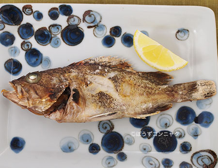 タヌキメバルの塩焼き