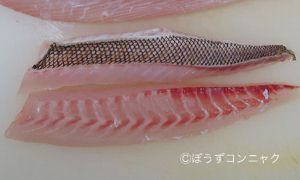クリックで拡大表示 キマダラヒメダイのフィレ