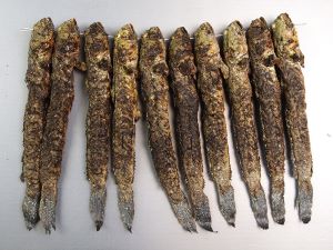 クリックで拡大表示 焼きムツゴロウ