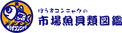 ぼうずコンニャクの市場魚類図鑑