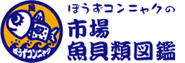 魚類索引 市場魚貝類図鑑