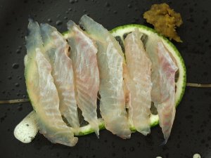 シマウシノシタの昆布締め