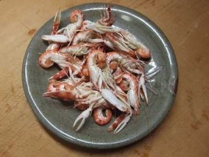 茹でたツメナガオニテッポウエビ