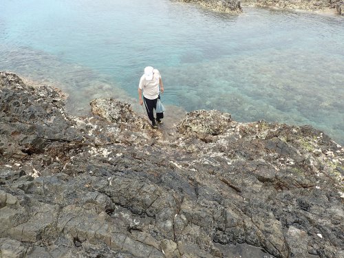 屋久島（鹿児島県）