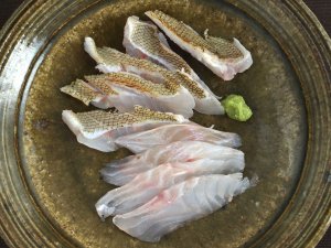セトダイの刺身