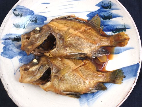 セトダイの煮つけ