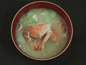 コツノキンセンモドキのみそ汁