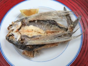 ツクシトビウオの唐揚げ