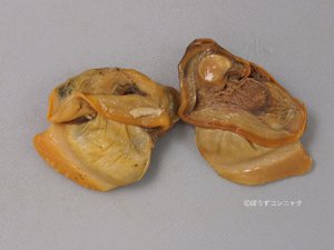 マルドブガイむき身