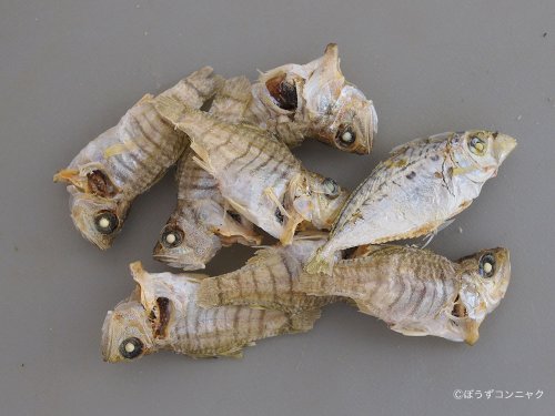 ねぶと煮干し