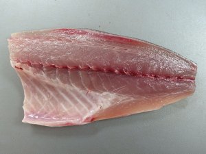 アカアジの身質