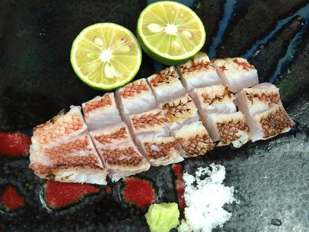 コブダイの焼霜造り