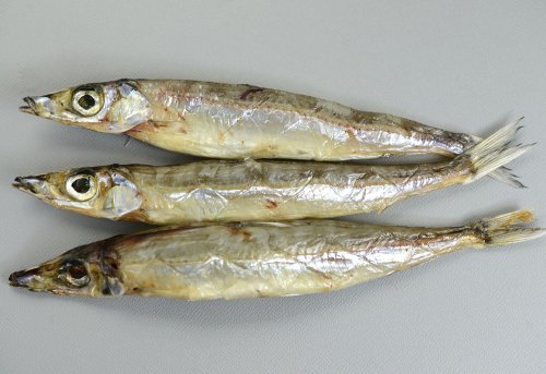 沖うるめの丸干