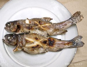 ニジマスの塩焼き