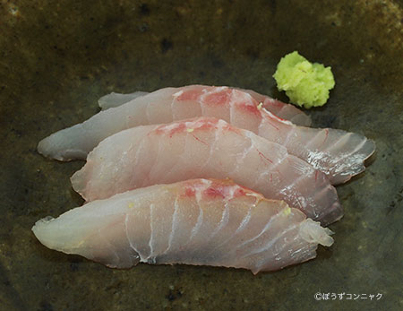 キビレマツカサの刺身
