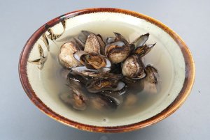 エガイの潮汁