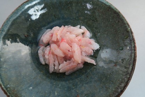 カタナウオの背ごし