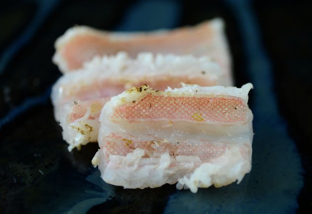 アカタチの焼霜造り