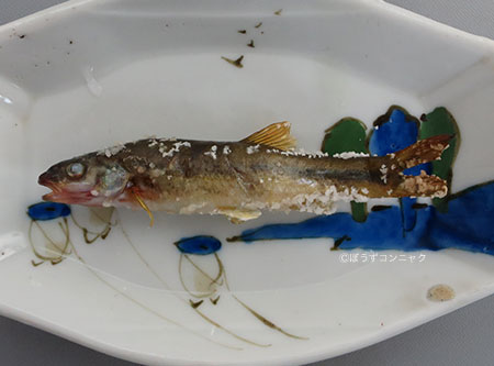 アブラハヤの塩焼き
