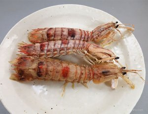 ミカドシャコの素揚げ