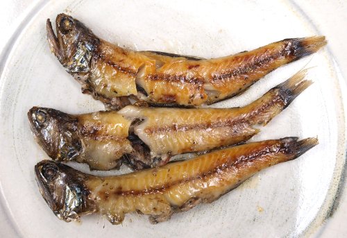 ハダカイワシの丸干し