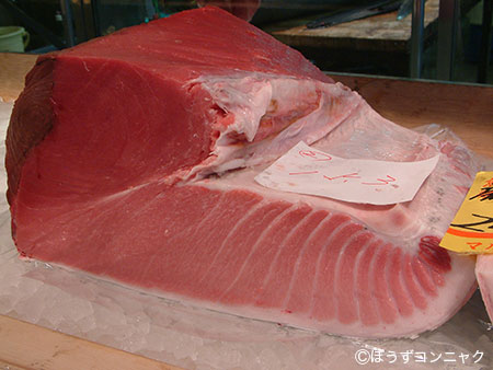 タイセイヨウクロマグロのコロ