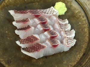 オゴダイの皮霜造り