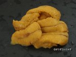 ホクヨウオオバフンウニのサムネイル写真