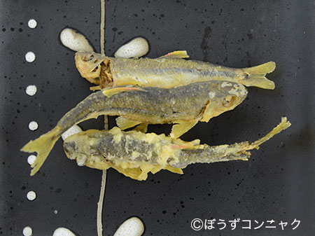 カワムツの天ぷら