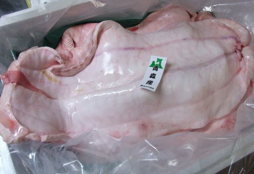 アブラザメ（アブラツノザメ）の腹身