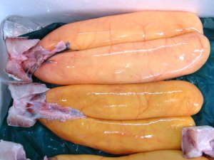 ボラの卵巣