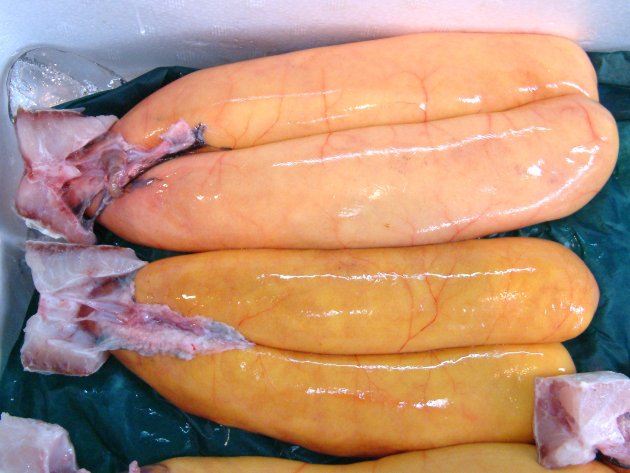 ボラの卵巣