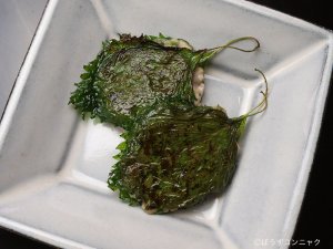 マアジのさんが焼き
